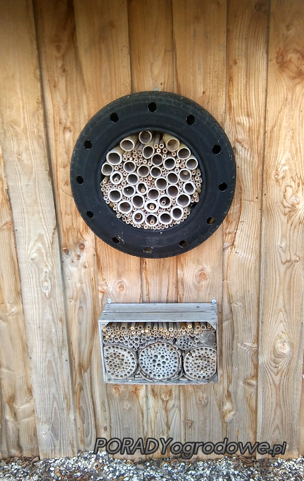 insects hotel