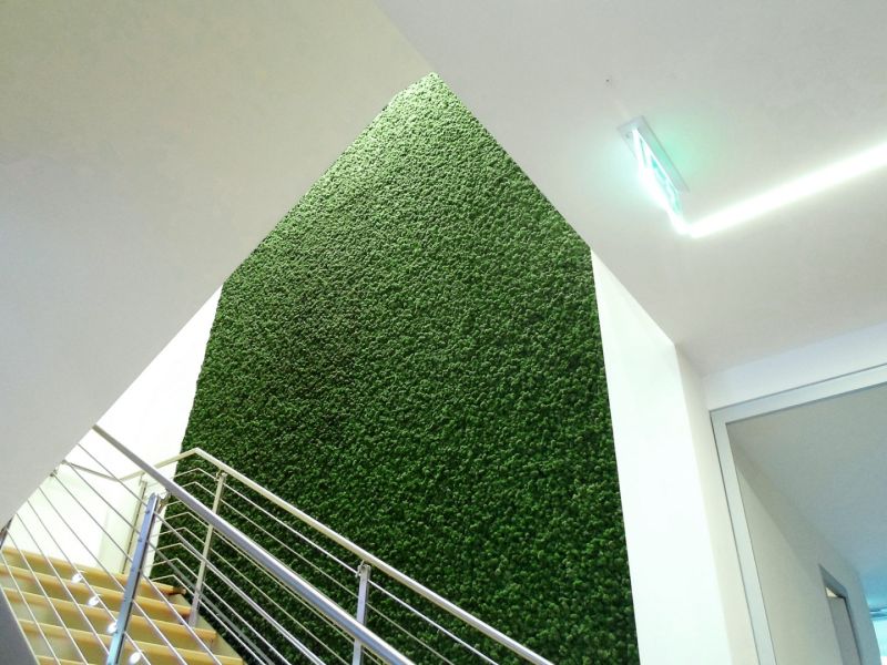  zielone ściany z mchu